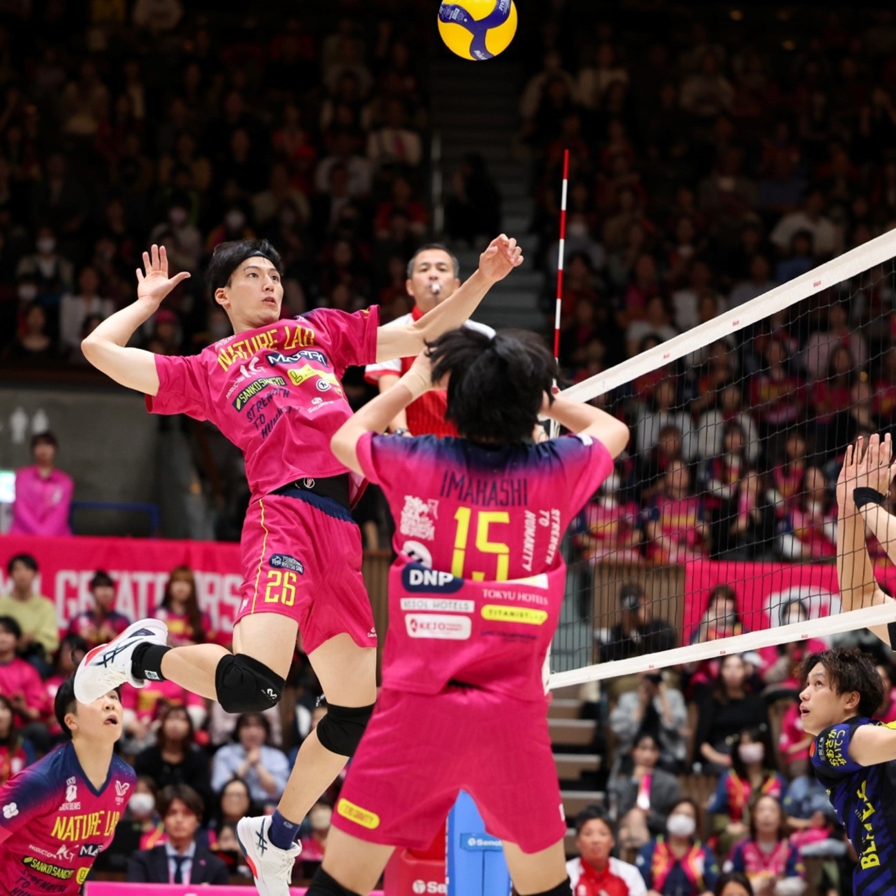 羽毛球——全英公开赛：刘圣书／谭宁无缘女双决赛